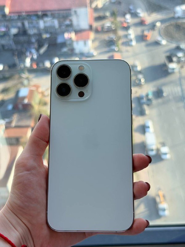 iPhone 13 Pro Max 256 GB Silver 5