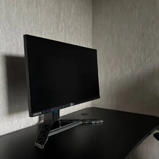 Lenovo Legion R25i-30 monitor