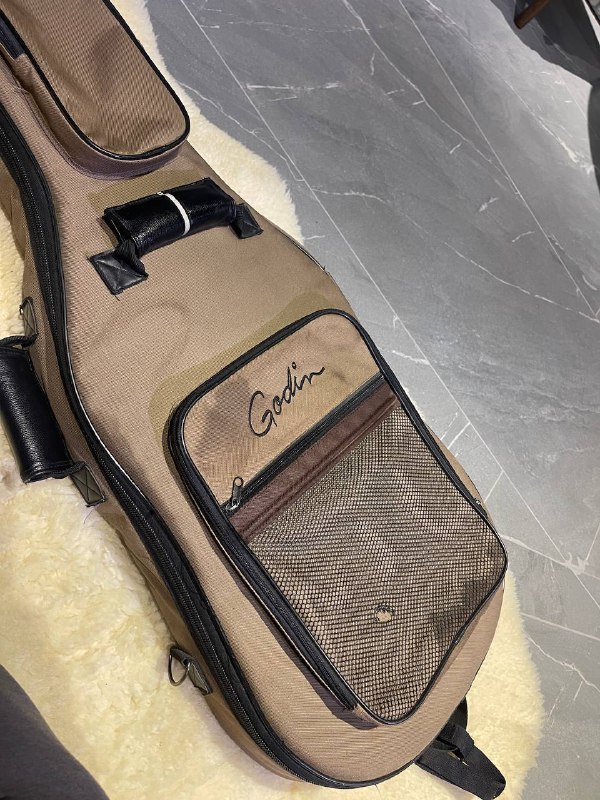 Гитара Godin 6