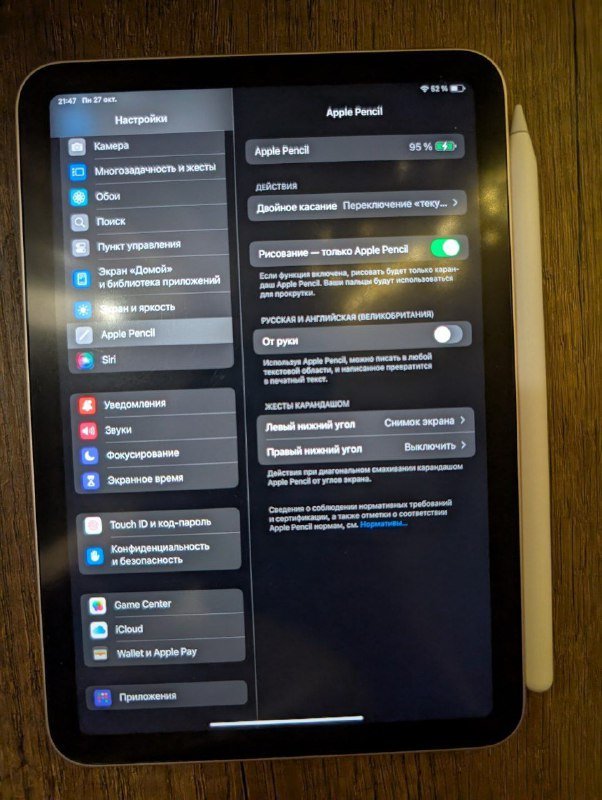 Ipad mini 6 256GB pink, Apple pencil 2