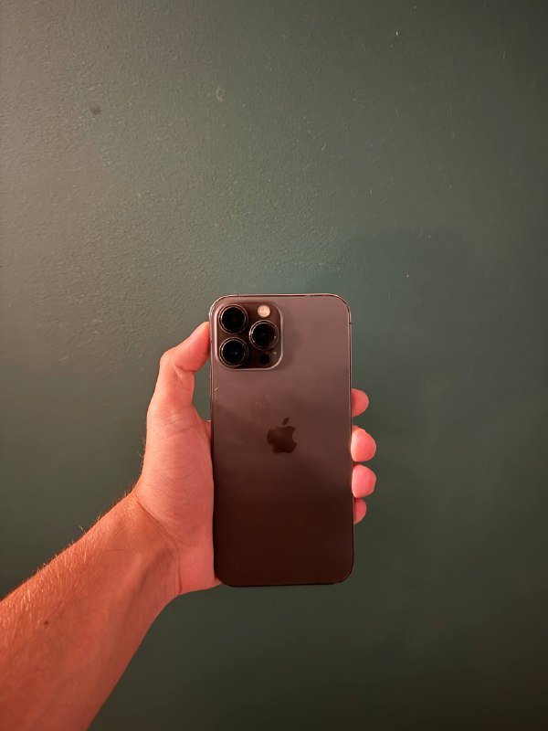 iPhone 13 Pro Max 256Gb 4