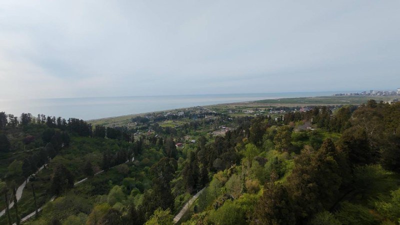 მიწის ნაკვეთი 5