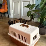 Переноска для кошек и мелких собак 2