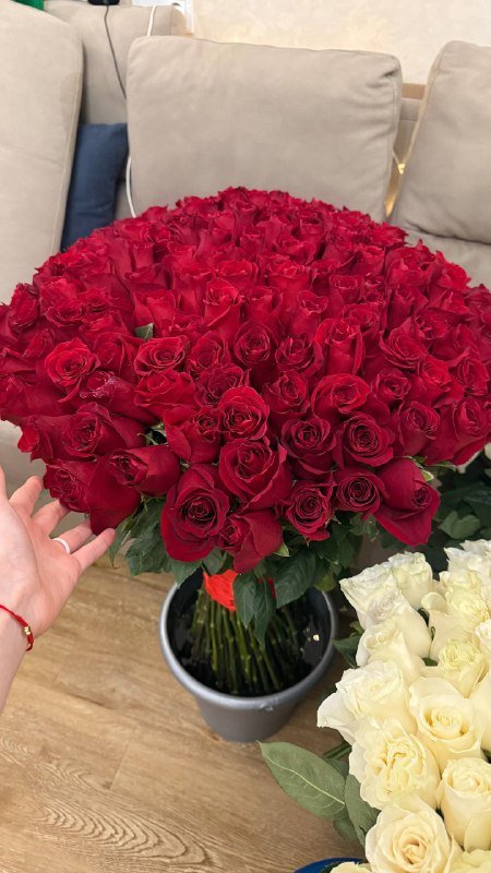 Букеты свежих роз от 20 до 160 шт 2