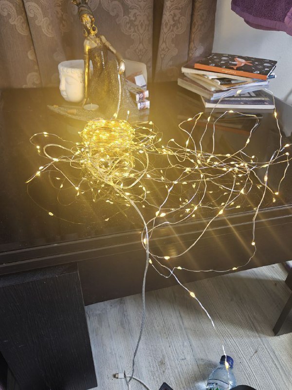 Гирлянда домино, горшки с кактусами, черная тара, графин, горшки с подставками, растение в горшке