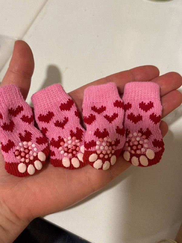 Носочки для мини собачки размер S 3