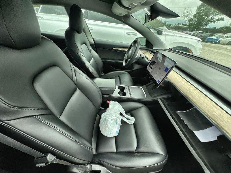 Tesla Model 3 Standard Range Plus 5