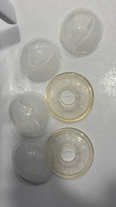 Молокосборник Avent