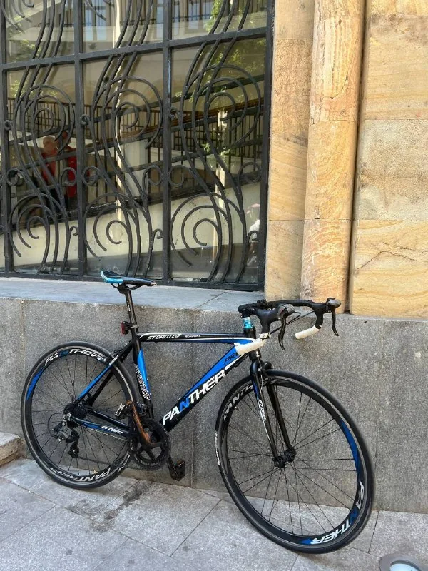 Panther Storm 1.0 road bike 1