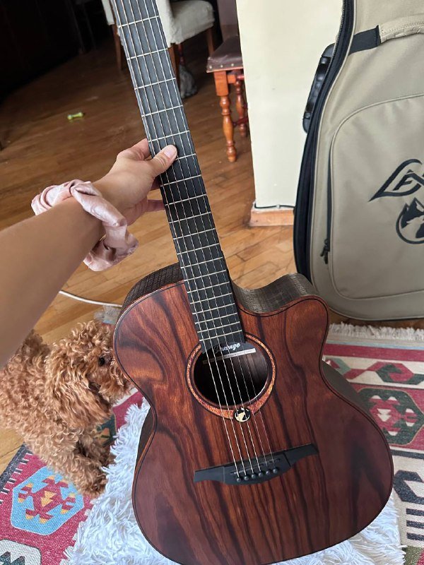 электро-акустическая гитара GLA SAUVAGE ACE с чехлом 5