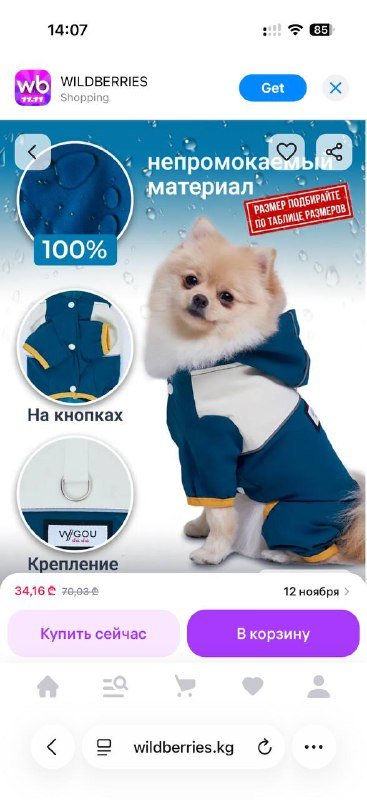 Дождевик для собак мелких пород 3