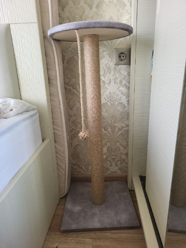 Когтеточка, лесенка, чип, капли, тесты, ошейник, игрушка для кошек и собак