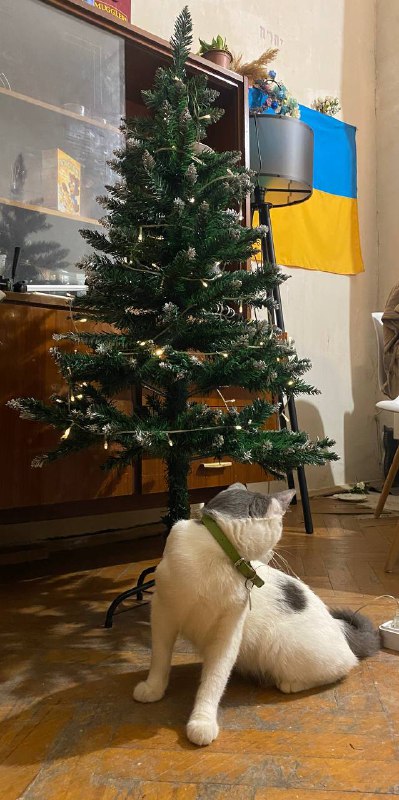 Микрофон 2E Gaming Microphone Kodama KIT, Елка новогодняя, Книги 4