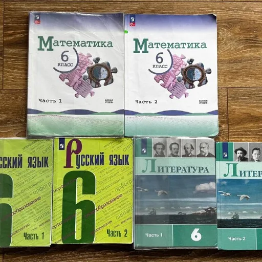 Учебники по русскому языку и литературе