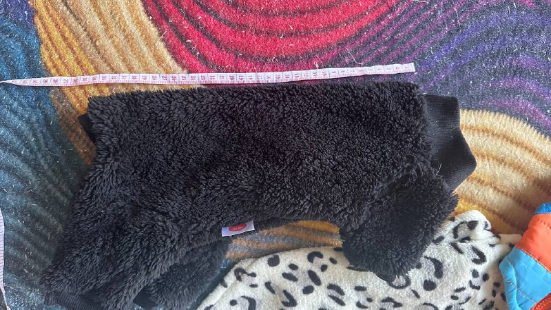 Одежда для котов и собак 3