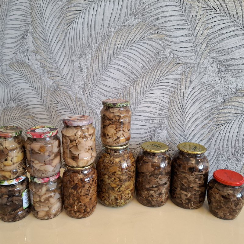Грибы в банках 1 литр, 2 литра, 0.5 литра 6