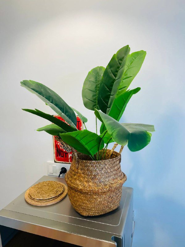 Искусственное растение с плетеным кашпо 2