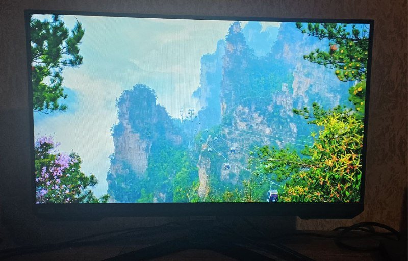 Монитор Samsung Odyssey G4 S25BG400EI 25 дюймов