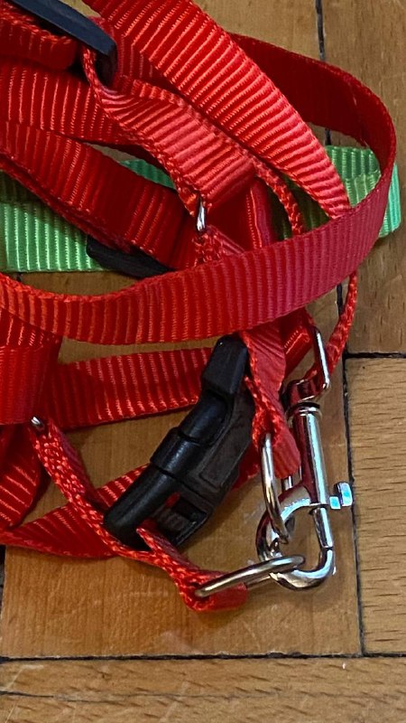 Ремешок и 2 поводка для кошки 2