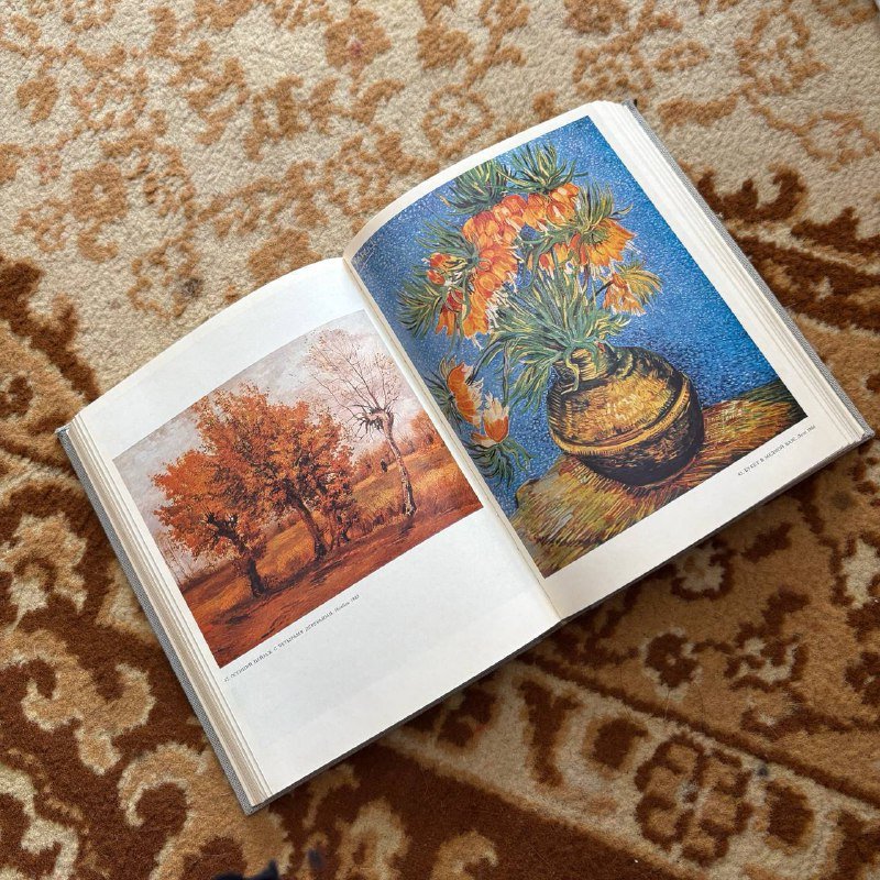 Жизнь Ван Гога и письма к брату Тео (2 книги) 2