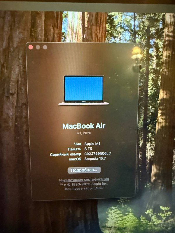 MacBook Air M1 8GB 256GB 4