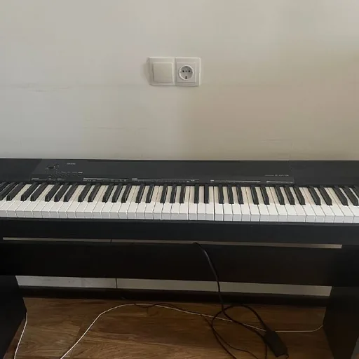 Электронное пианино Casio