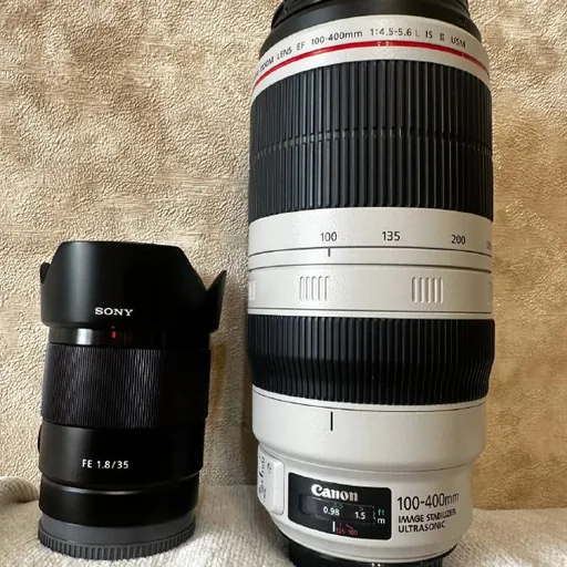 Sony A6000, Sony 35mm 1.8, Fujifilm FinePix HS35EXR, Canon 100-400mm