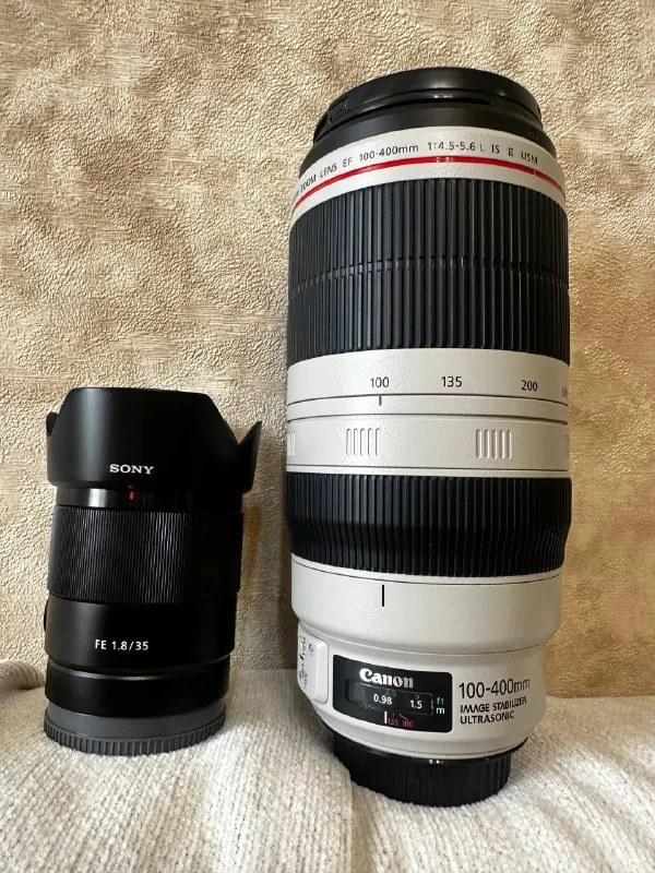 Sony A6000, Sony 35mm 1.8, Fujifilm FinePix HS35EXR, Canon 100-400mm 1