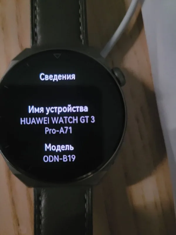 HUAWEI watch GT 3 pro 46mm, Gray Leather Strap, Titanium 1