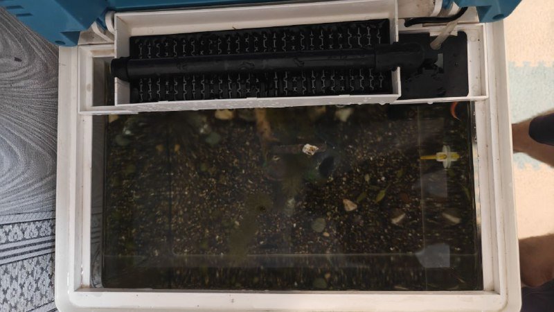 Аквариум с фильтром, светом, термометром, кормами и тест-полосками 2