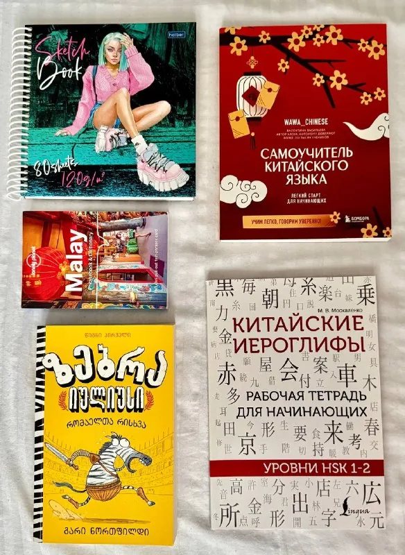 Книги, разговорник малайского языка, скетчбук 1