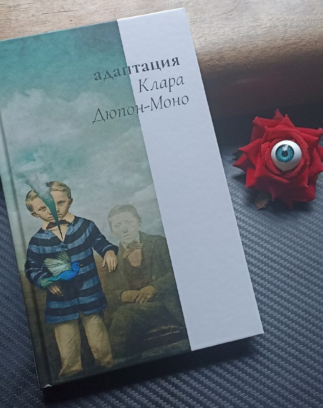 Книги: Странник века, Госпожа Бовари, На игле #2, Адаптация, Огонь Прометея, День Триффордов, Человек, который умер дважды, Депрессия заразительна 6