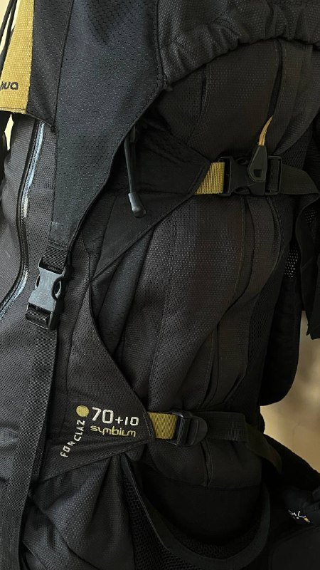 Туристический рюкзак Quechua Forclaz 70+10 4