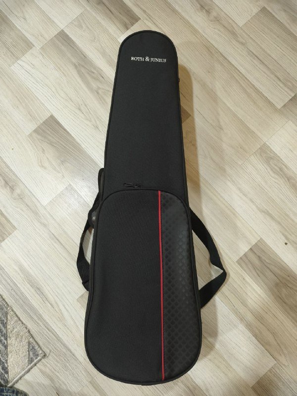 Скрипка Roth & Junius RJV-S Student Violin Set 4/4 с футляром