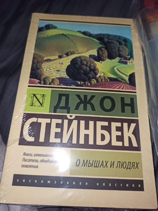 Книги Халед Хоссейни, Джон Стейнбек 4