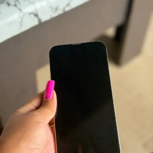 iPhone 13 Pro Max 256GB