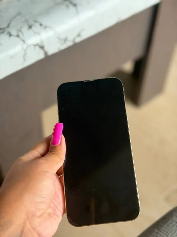 iPhone 13 Pro Max 256GB 1