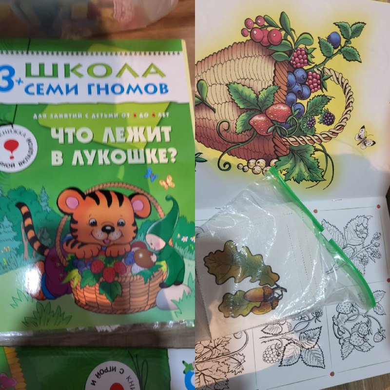 Книги Школа семи гномов 3+ с дидактическими материалами 4