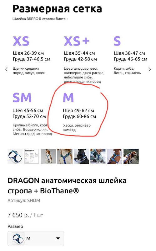 Шлейка-перестежка бренда bro, Миски для собаки, Ошейник светящийся, 2 сумки, Миска для воды 3