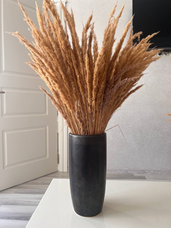 Мужская жилетка с капюшоном, кофта на замке, шляпа женская 5