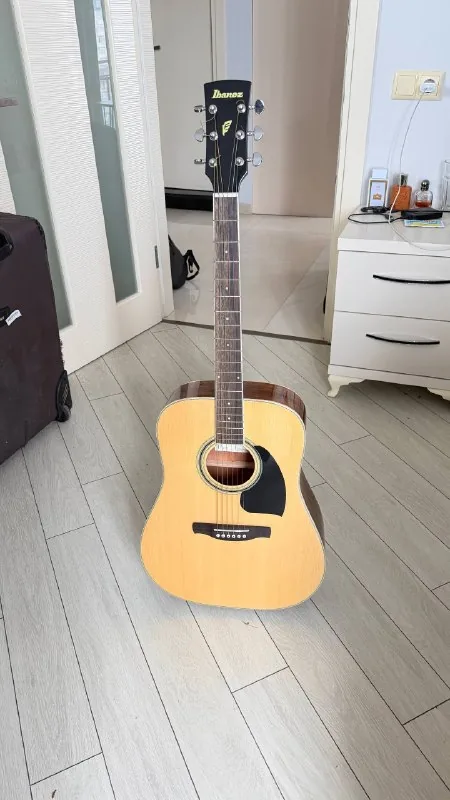 Гитара Ibanez, чехол 1