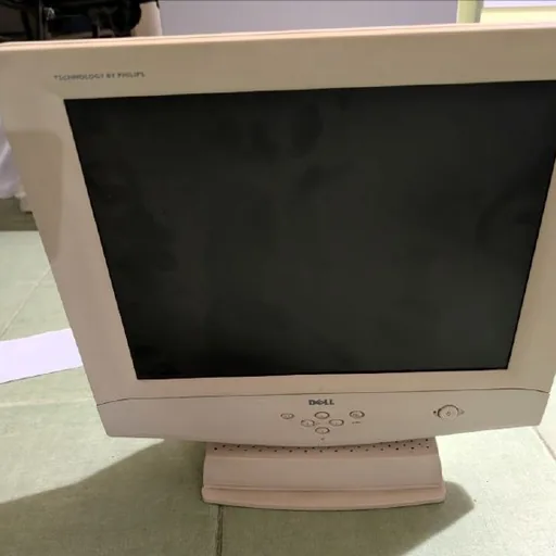 Dell and DeLUX CRT Monitors