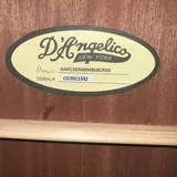 Гитара D’Angelico Premier 5