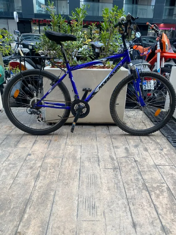 Bicycle for city and dirt roads 1
