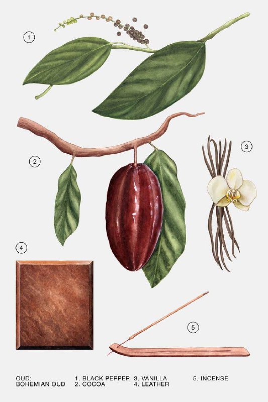 Духи парфюм Zara bohemian oud 30 ml 2