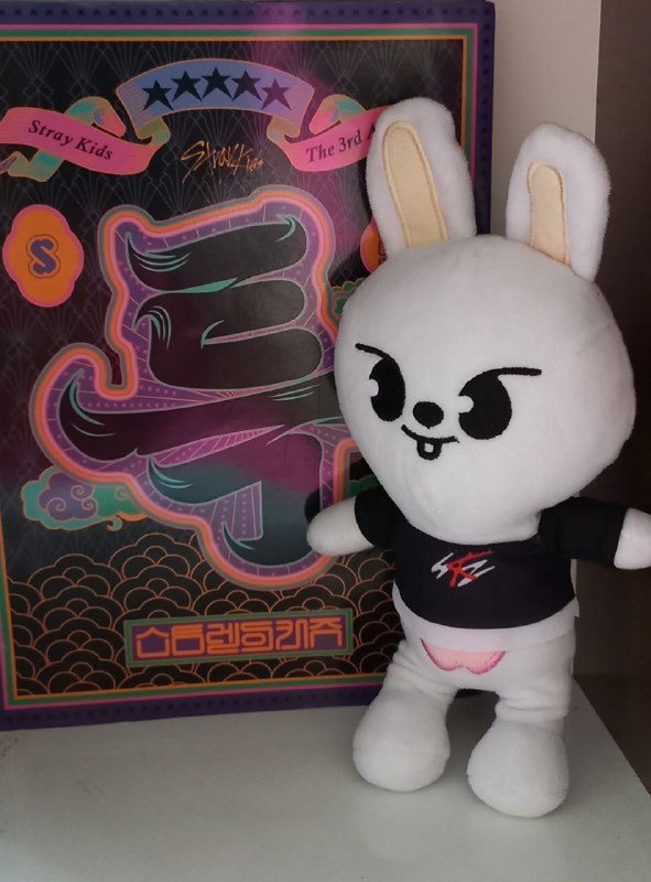 Плюшевые игрушки Stray Kids 2