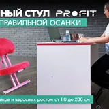 Ортопедический стул Profit 4