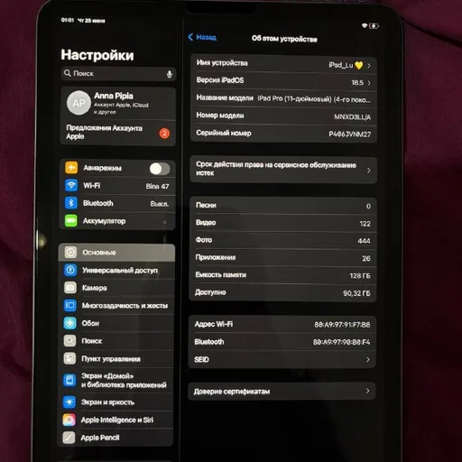 Apple iPad Pro 11 2022, Apple Pencil