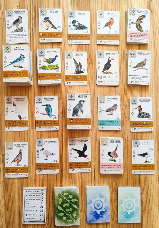 Wingspan, European Expansion, Oceania Expansion 5