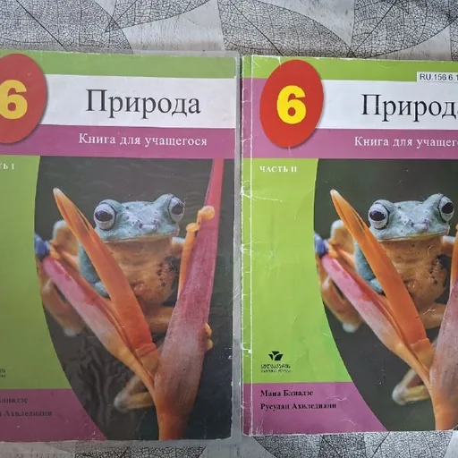 Учебники 6 класс